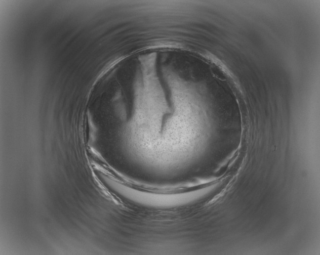 X0000082941137200702152207