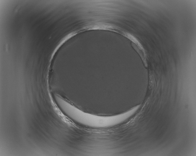 X0000082941138200702152207