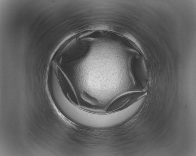 X0000082941139200702152207