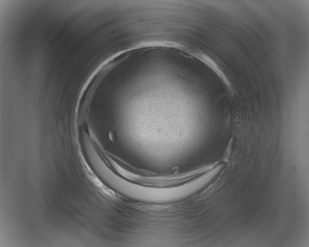 X0000082941140200702152207