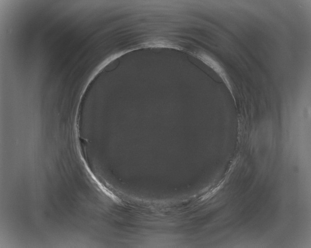 X0000082941141200702152207