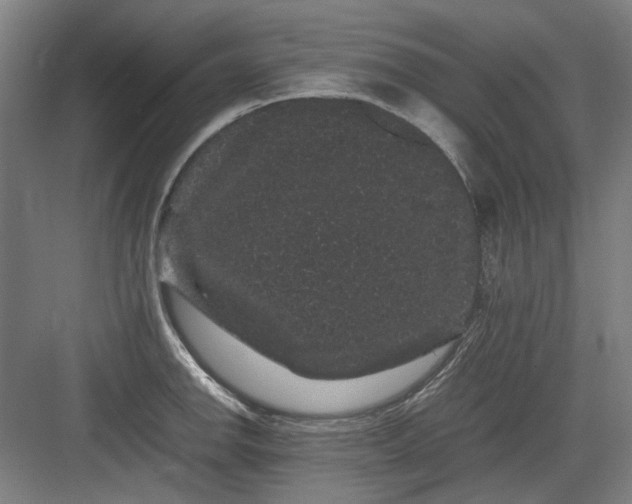 X0000082941142200702152207