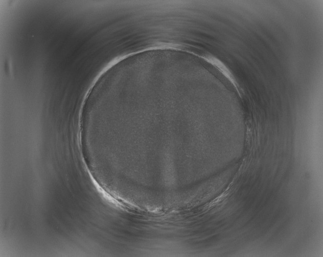 X0000082941143200702152207