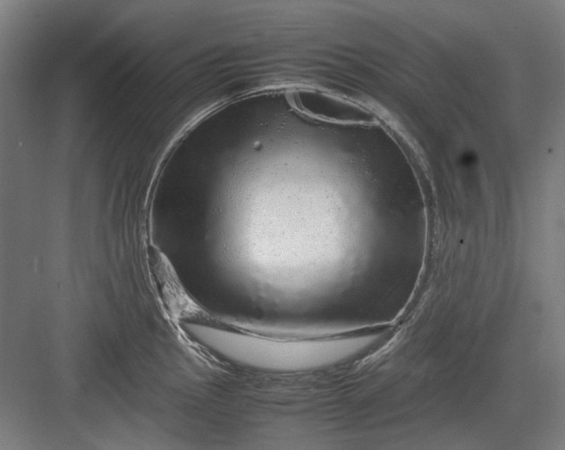 X0000082941145200702152207