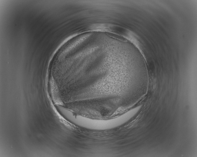 X0000082941147200702152207