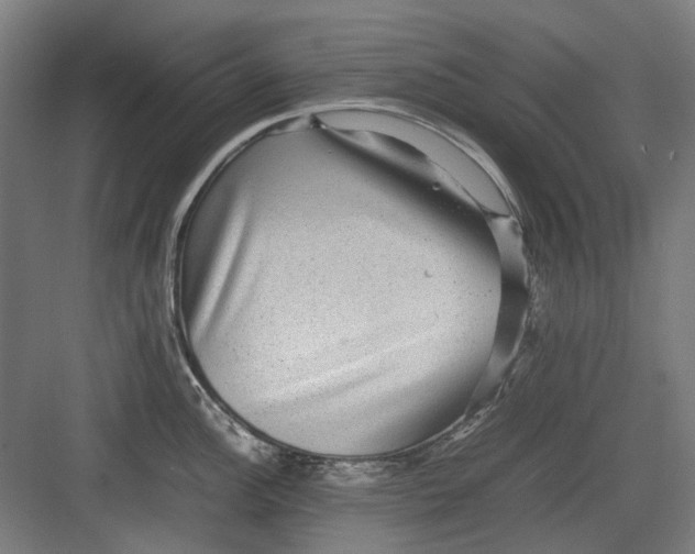 X0000082941148200702152207