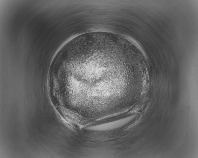 X0000082941149200702152207