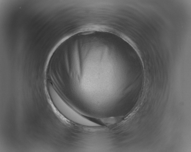 X0000082941152200702152207