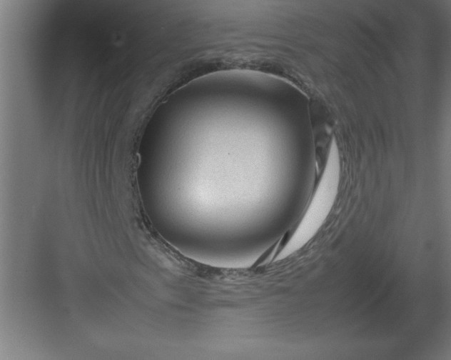 X0000082941153200702152206