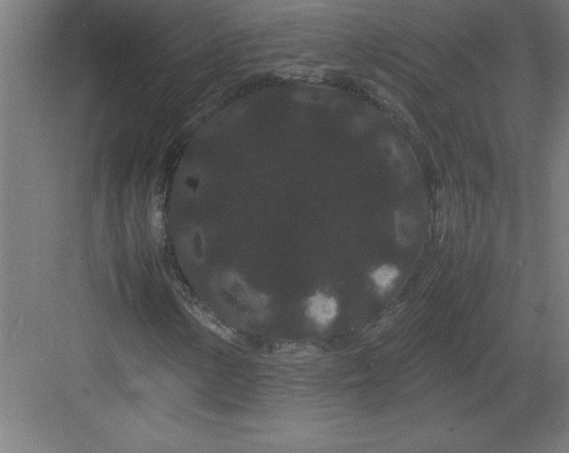 X0000082941154200702152206