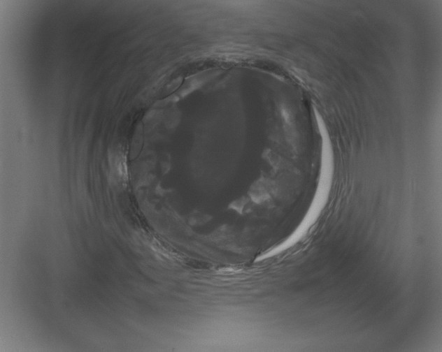 X0000082941155200702152206