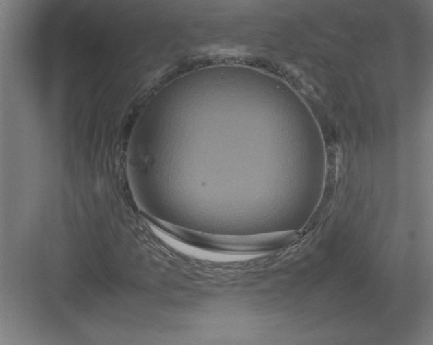 X0000082941157200702152206