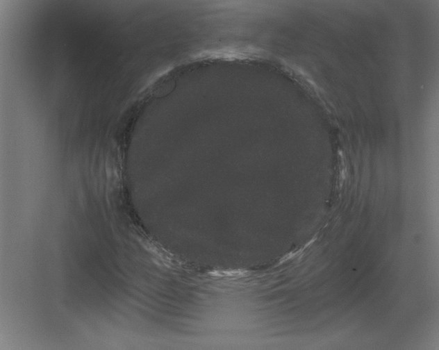 X0000082941158200702152206