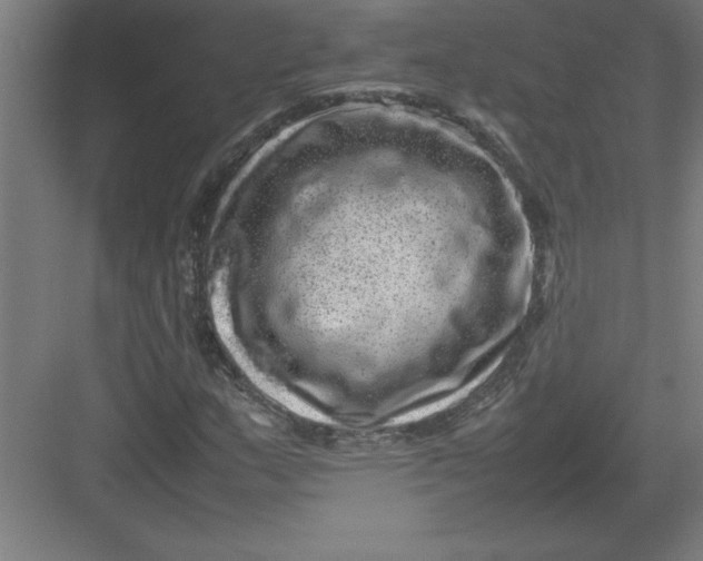 X0000082941159200702152206