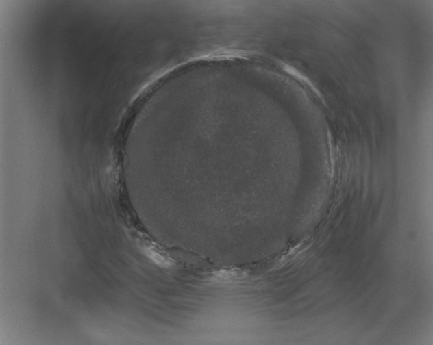 X0000082941160200702152206