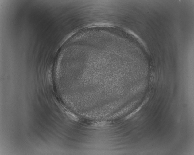 X0000082941162200702152206