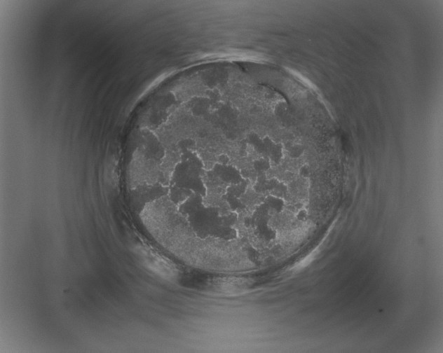 X0000082941163200702152206