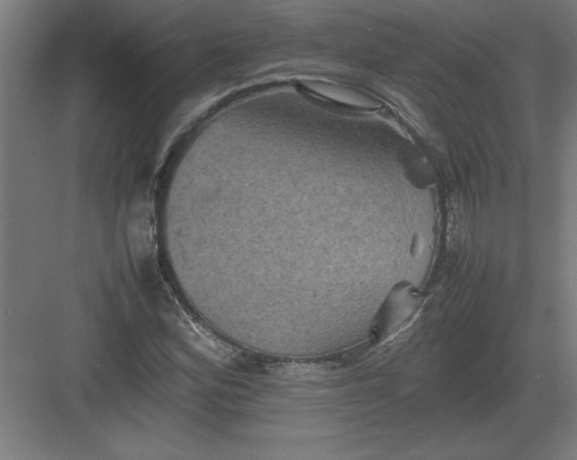 X0000082941164200702152206