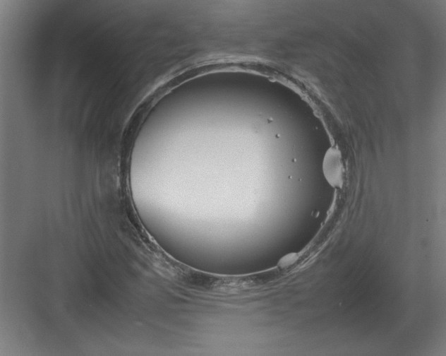 X0000082941165200702152206