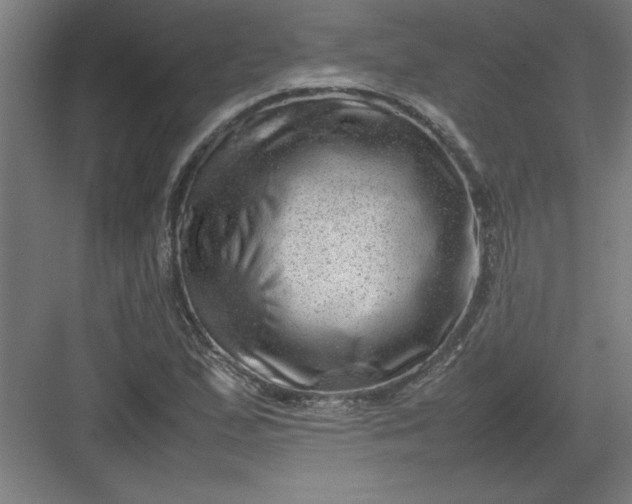 X0000082941167200702152206