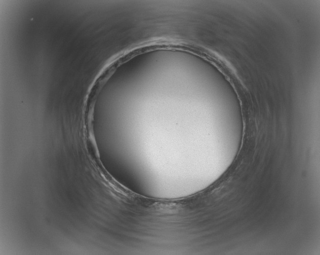 X0000082941168200702152206