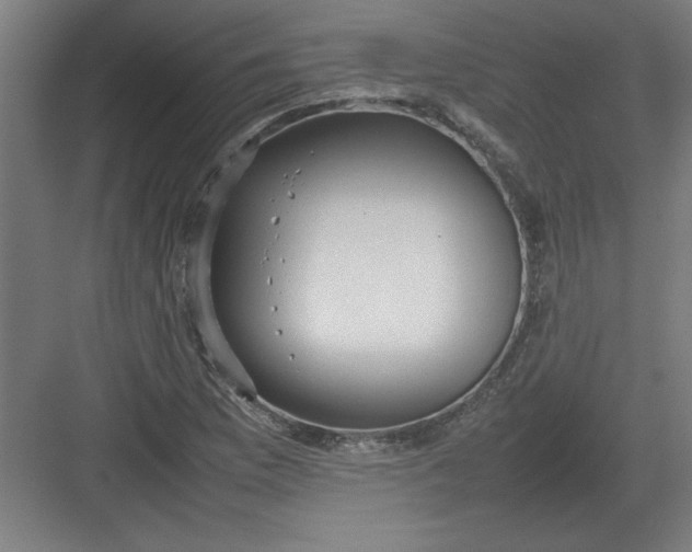 X0000082941169200702152206