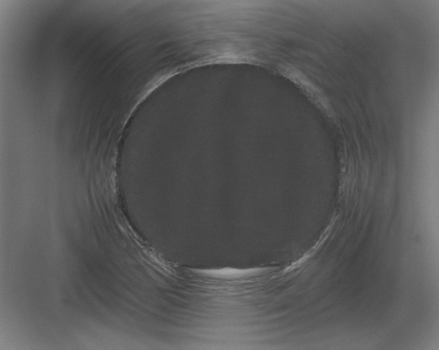 X0000082941170200702152206