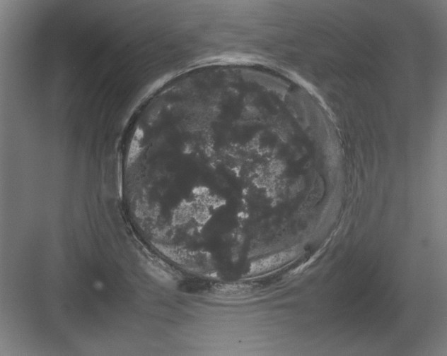 X0000082941171200702152206