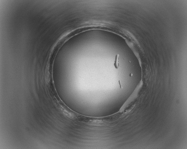 X0000082941172200702152206