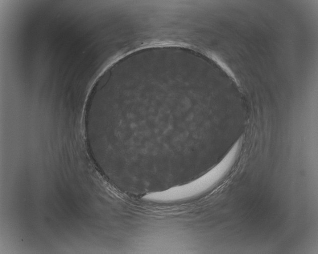 X0000082941173200702152206