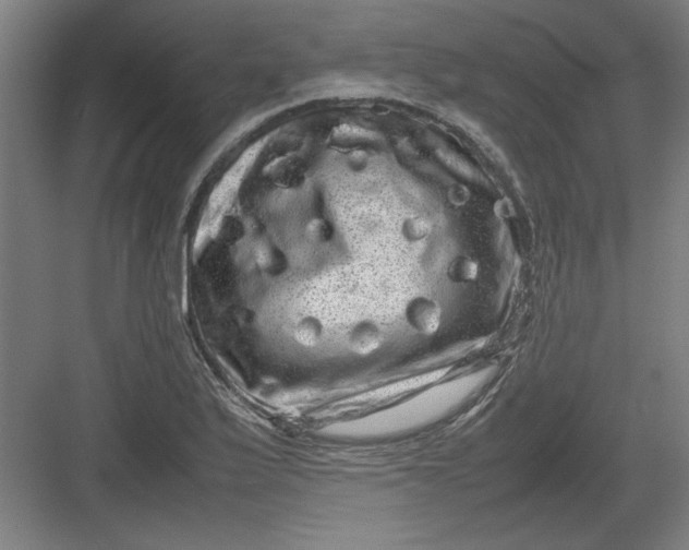 X0000082941175200702152206