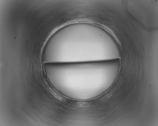 X0000082941176200702152206