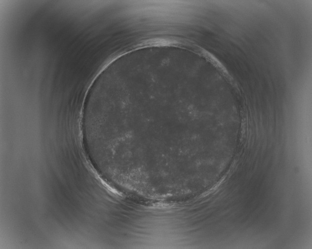 X0000082941178200702152206