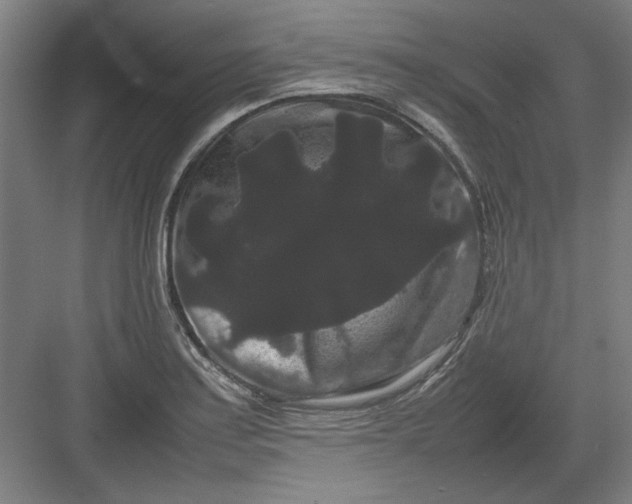 X0000082941179200702152206