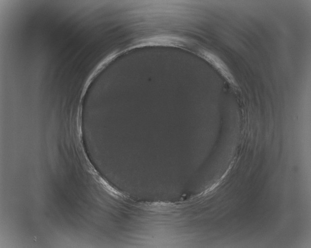 X0000082941180200702152206