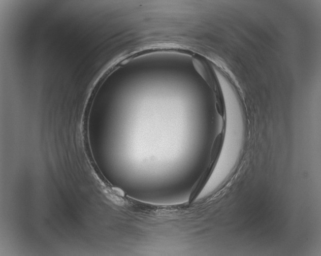 X0000082941181200702152206