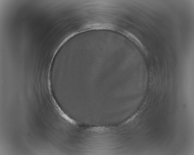 X0000082941182200702152206