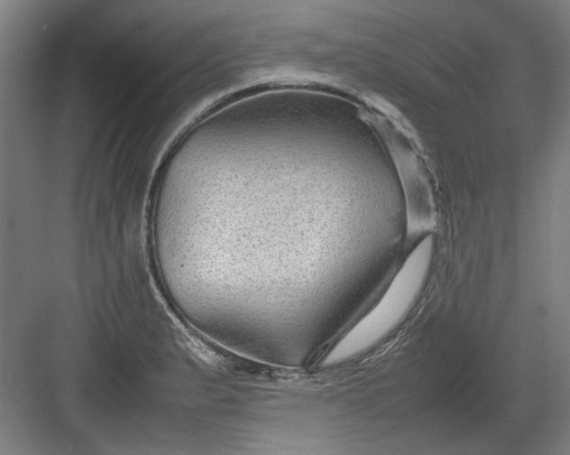 X0000082941183200702152206