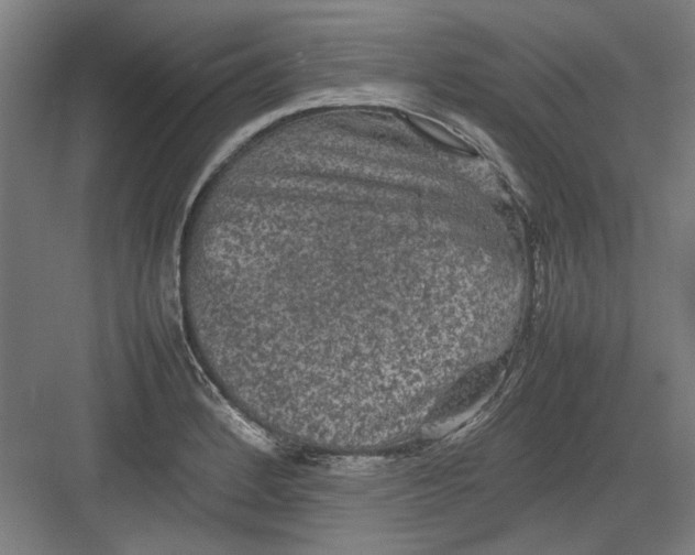 X0000082941184200702152206