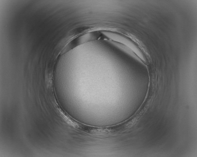 X0000082941185200702152206