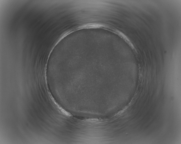 X0000082941186200702152206