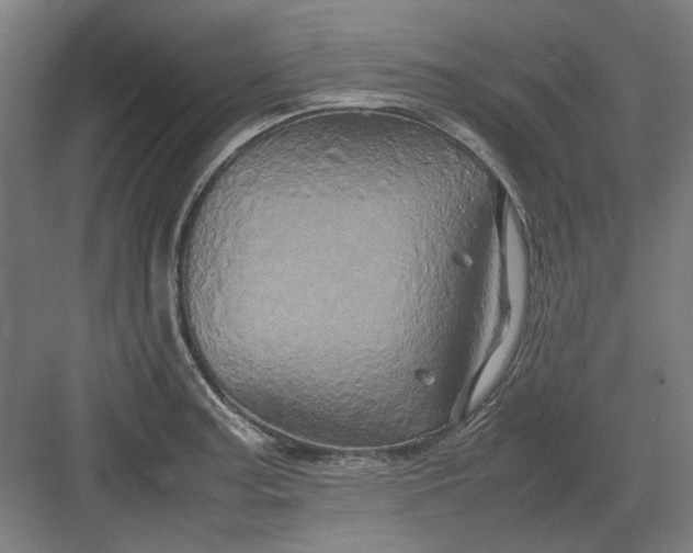 X0000082941187200702152206