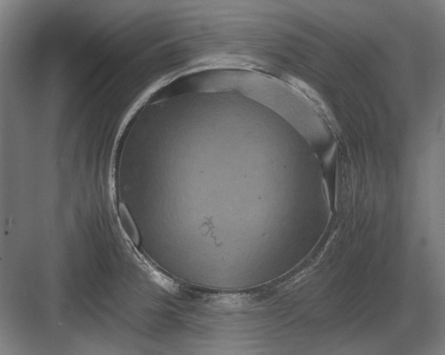 X0000082941188200702152206