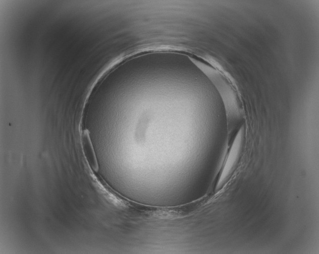 X0000082941189200702152206