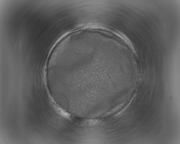 X0000082941190200702152206