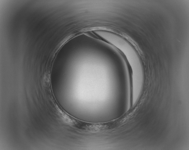 X0000082941193200702152206