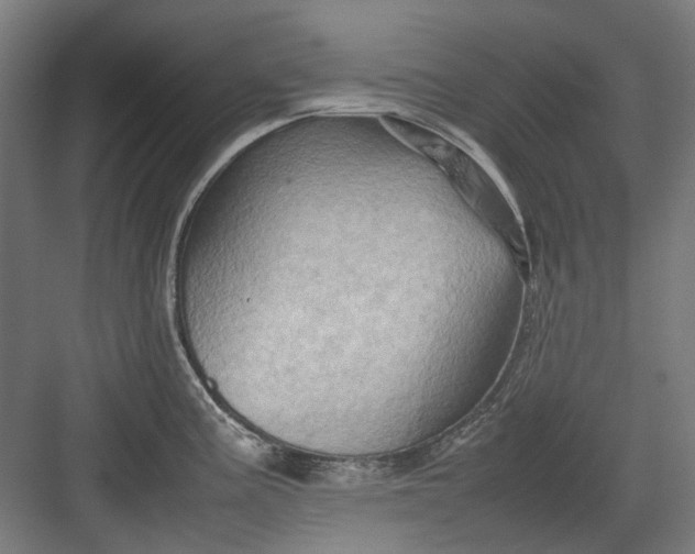 X0000082941195200702152206