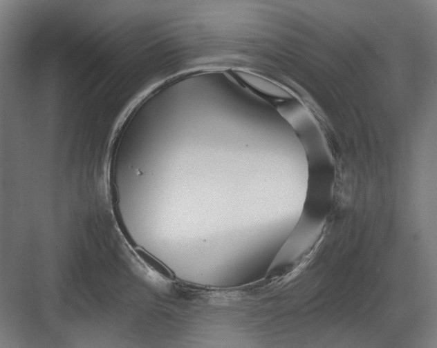 X0000082941196200702152206