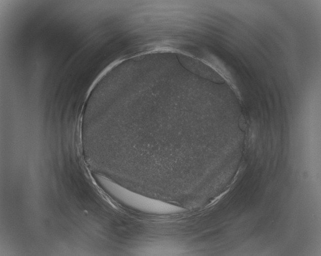 X0000082941198200702152206