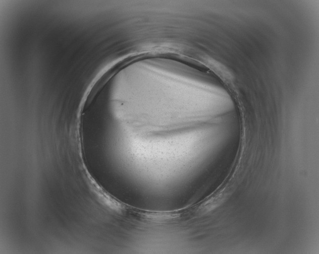 X0000082941200200702152206